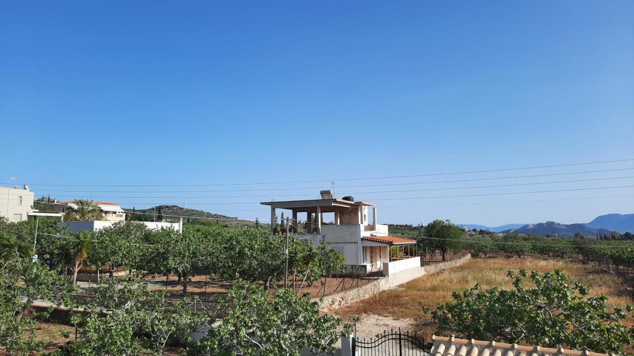 Appartamento Mosxonas House Aegina Esterno foto